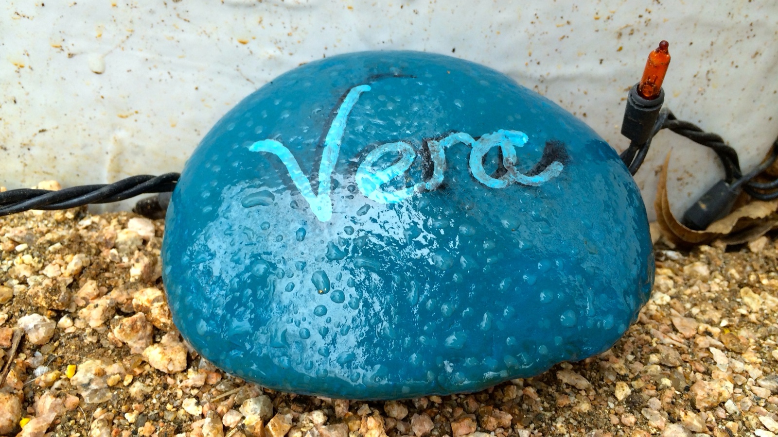 Pet Rock