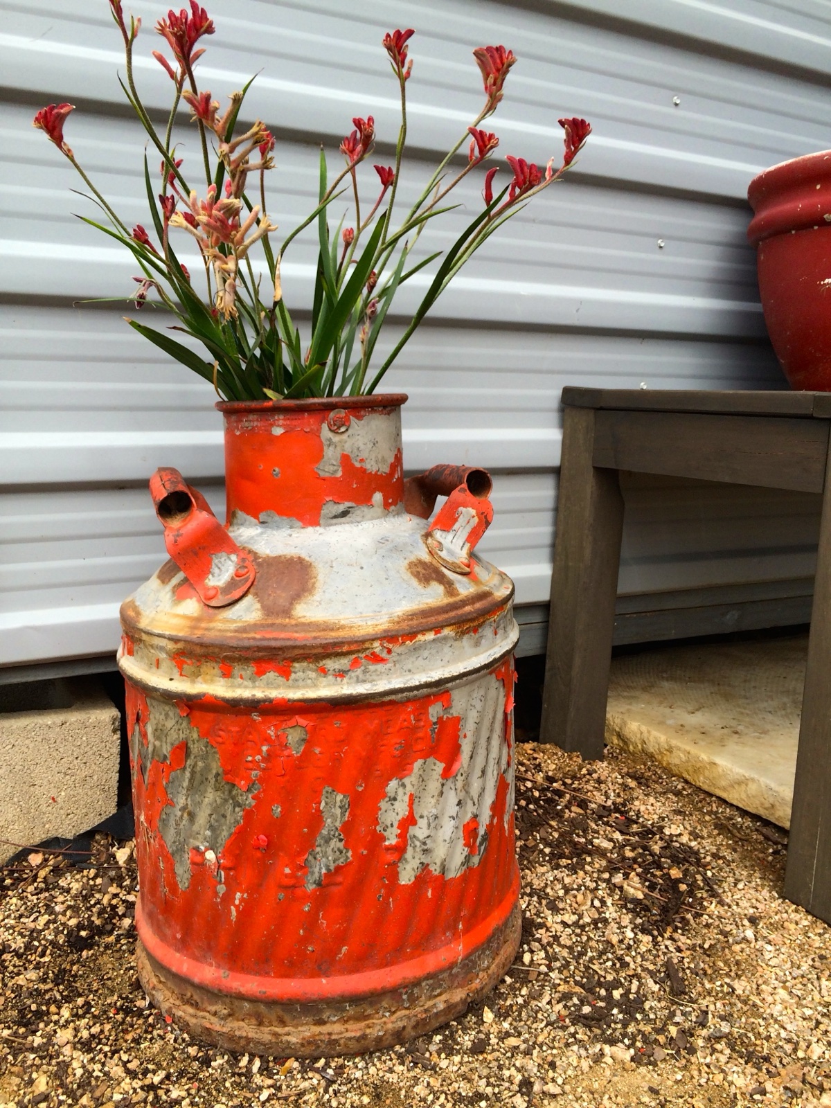 Knott milk pail