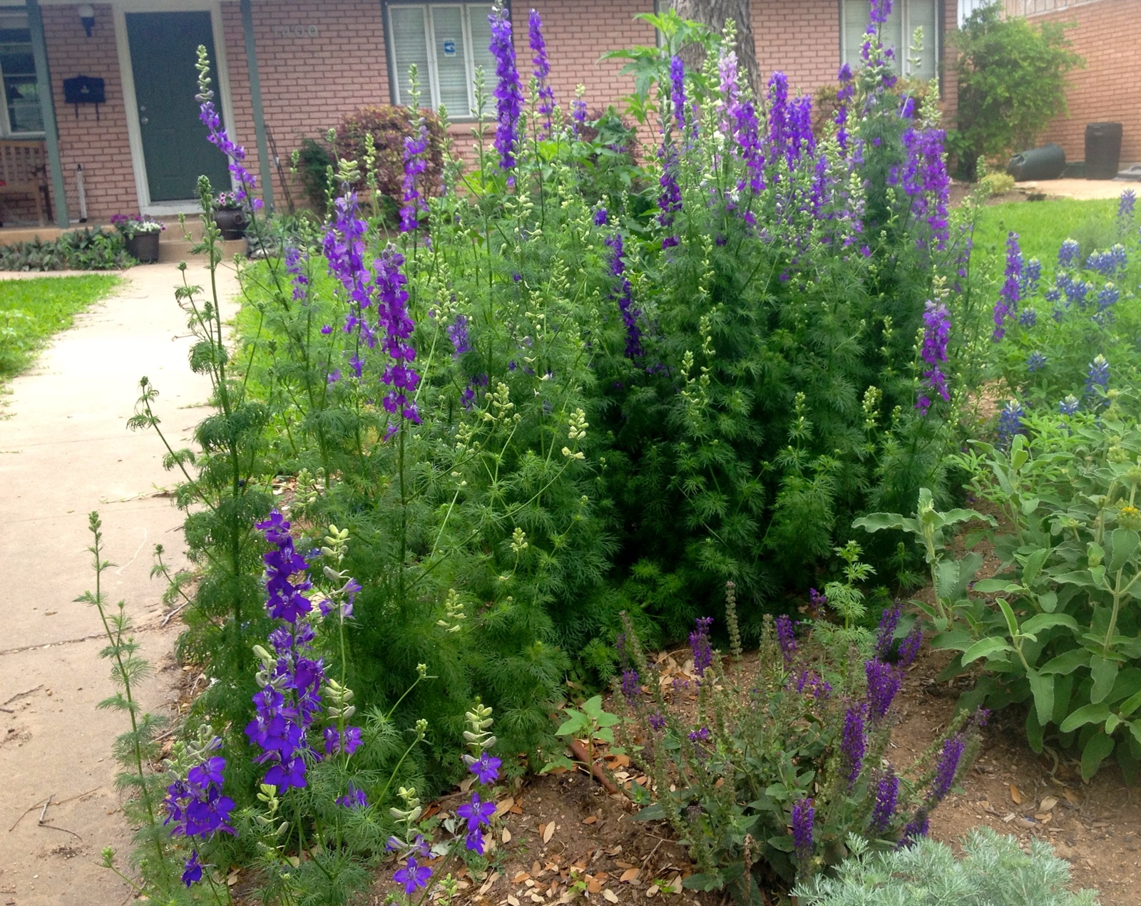 April front blooms