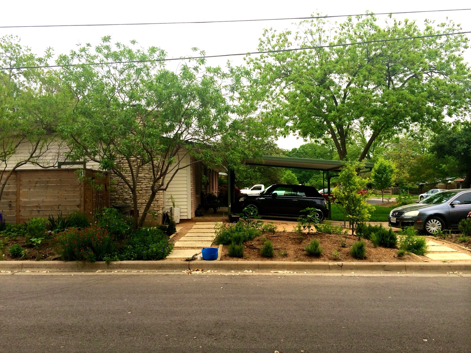 side view III