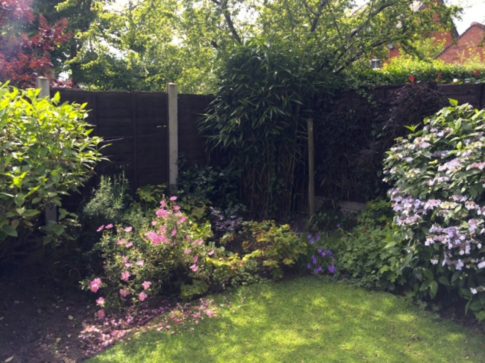 back corner