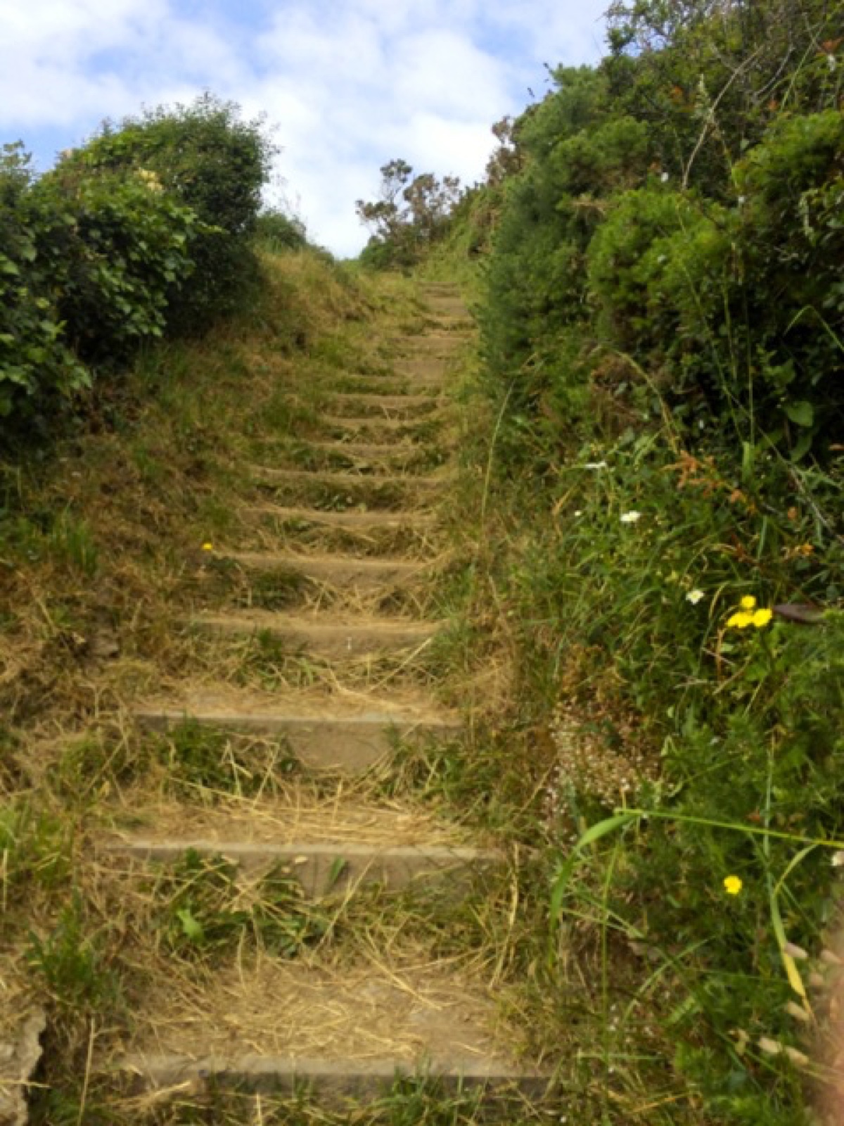coastal path steps