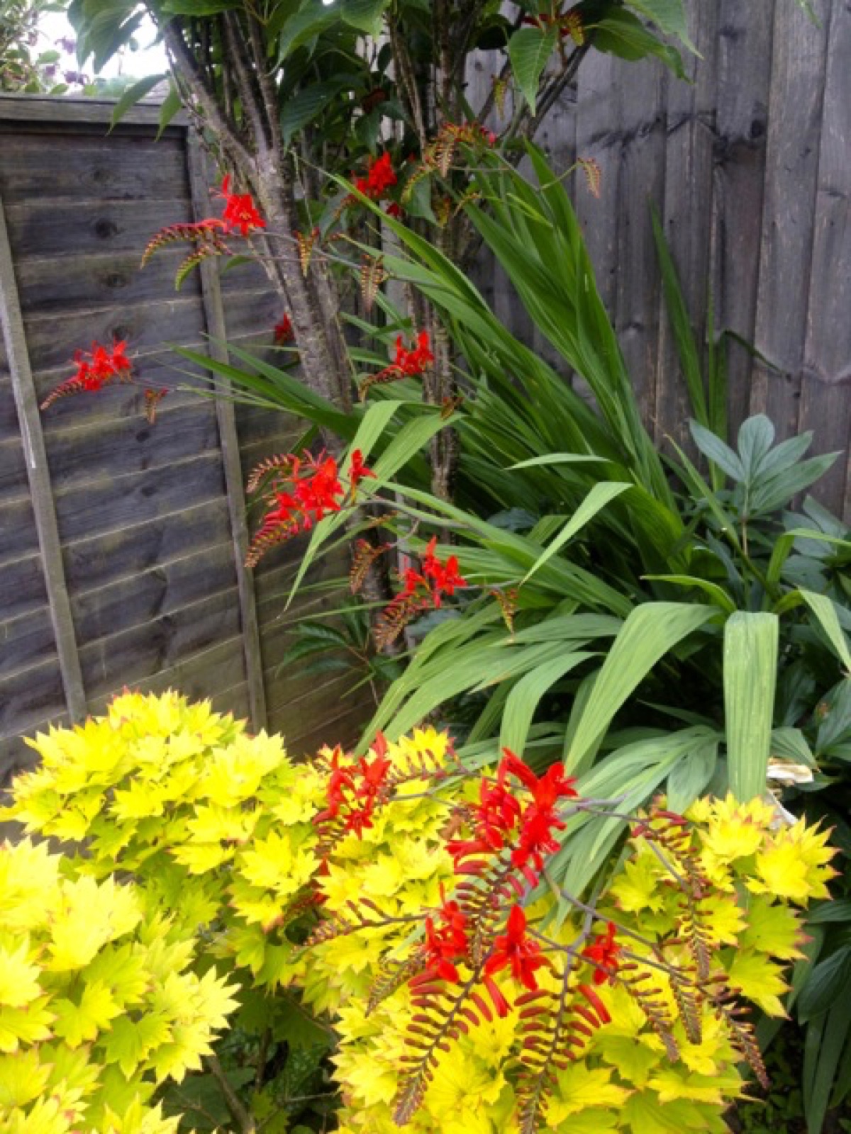 corner
