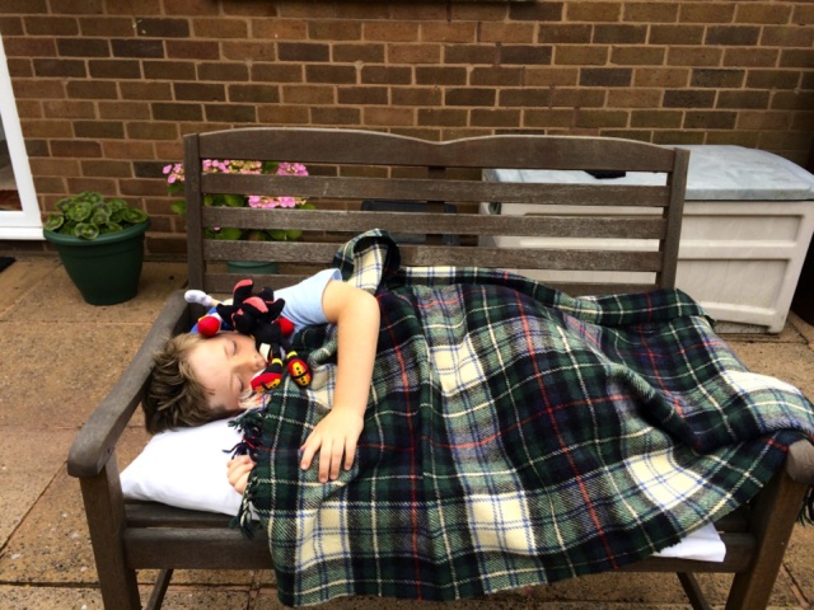 day 1 back garden nap sz
