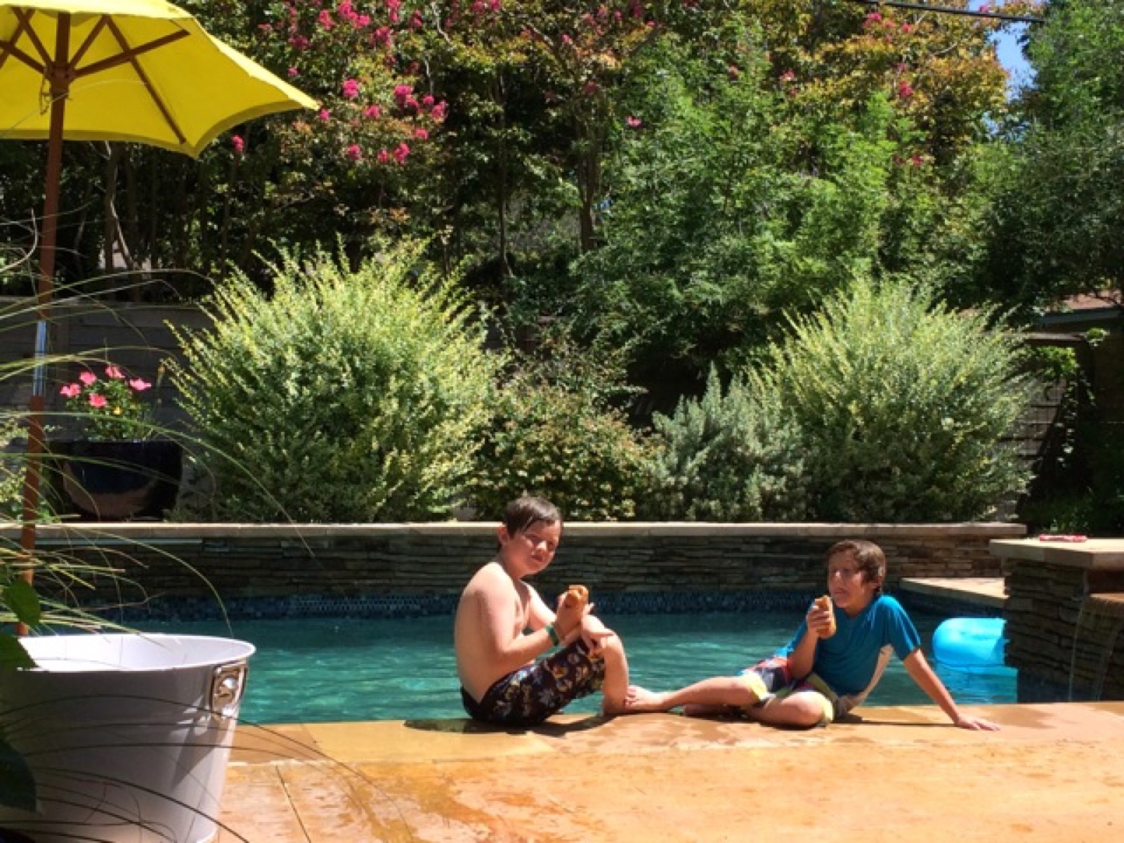 finn tom pool landscaping