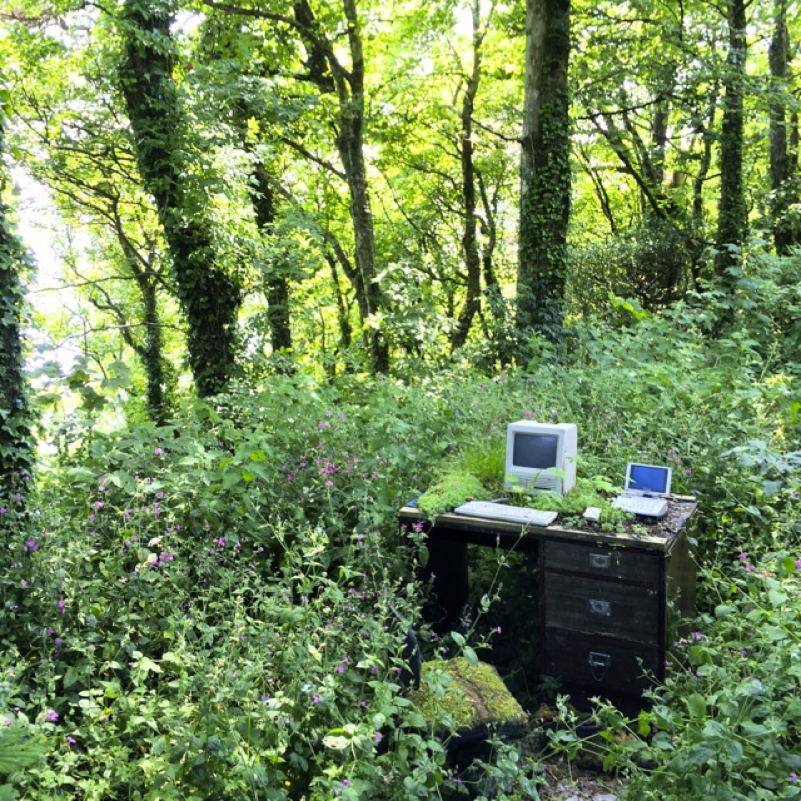 garden office better shot