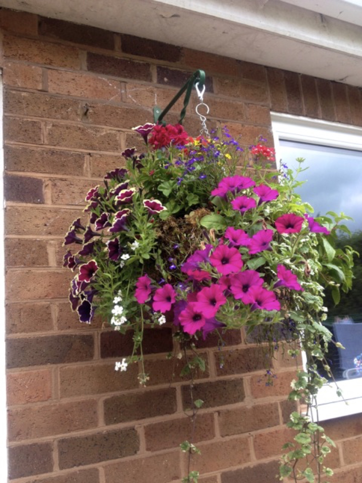 hanging basket I