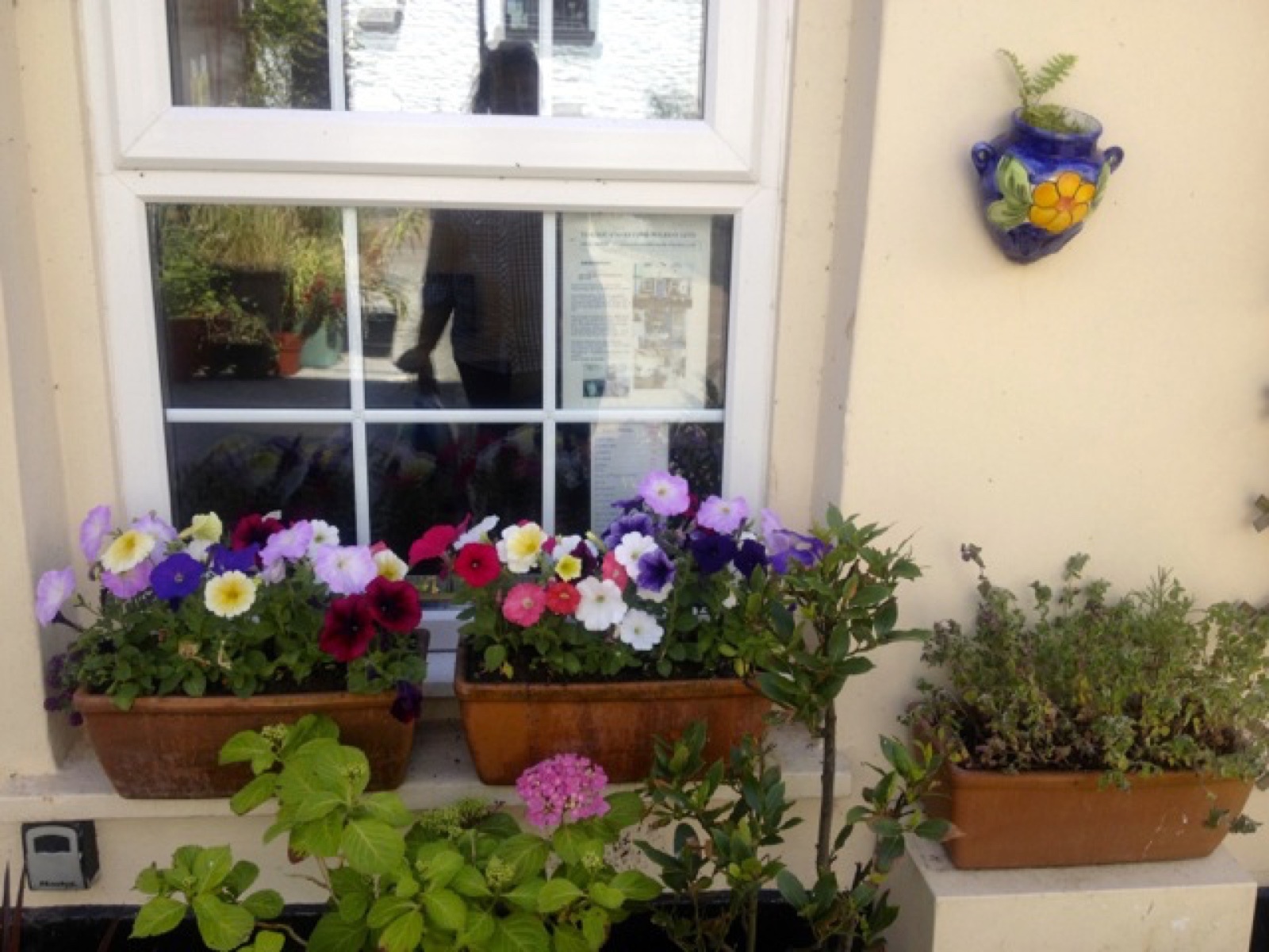 house baskets looe