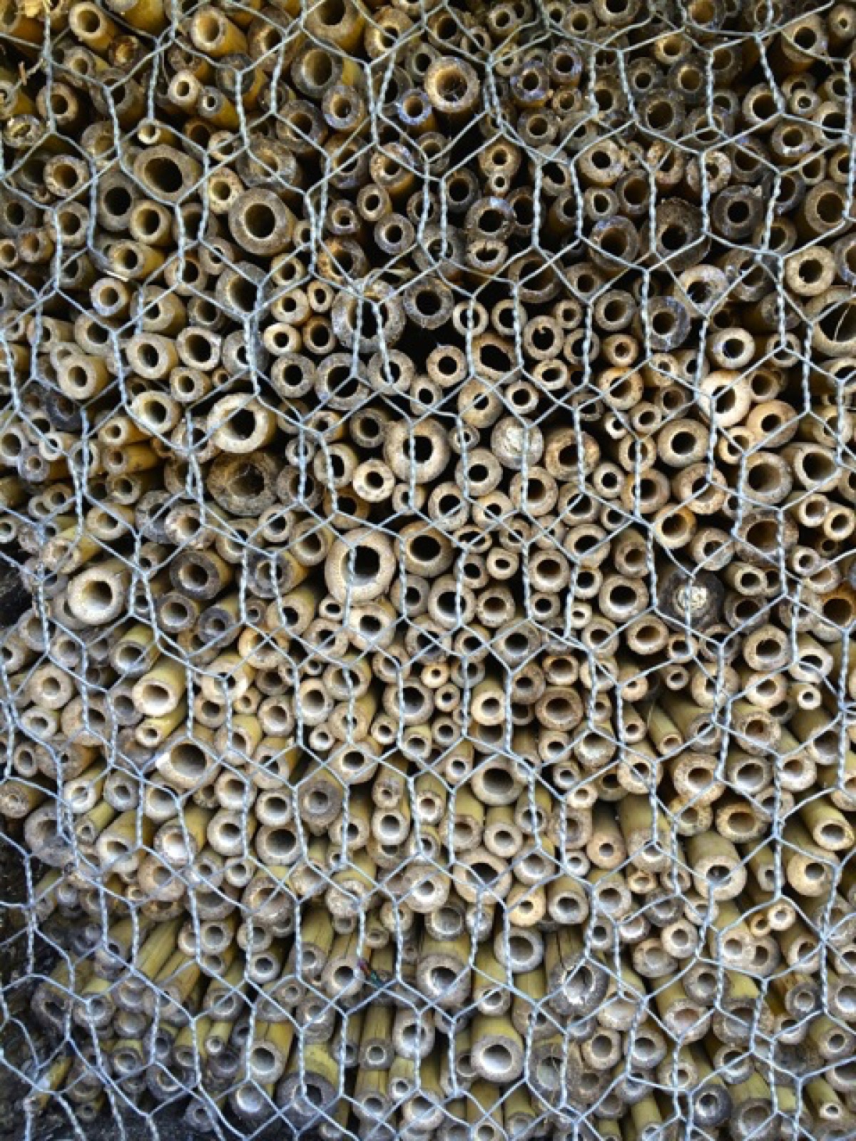 insect hotel III