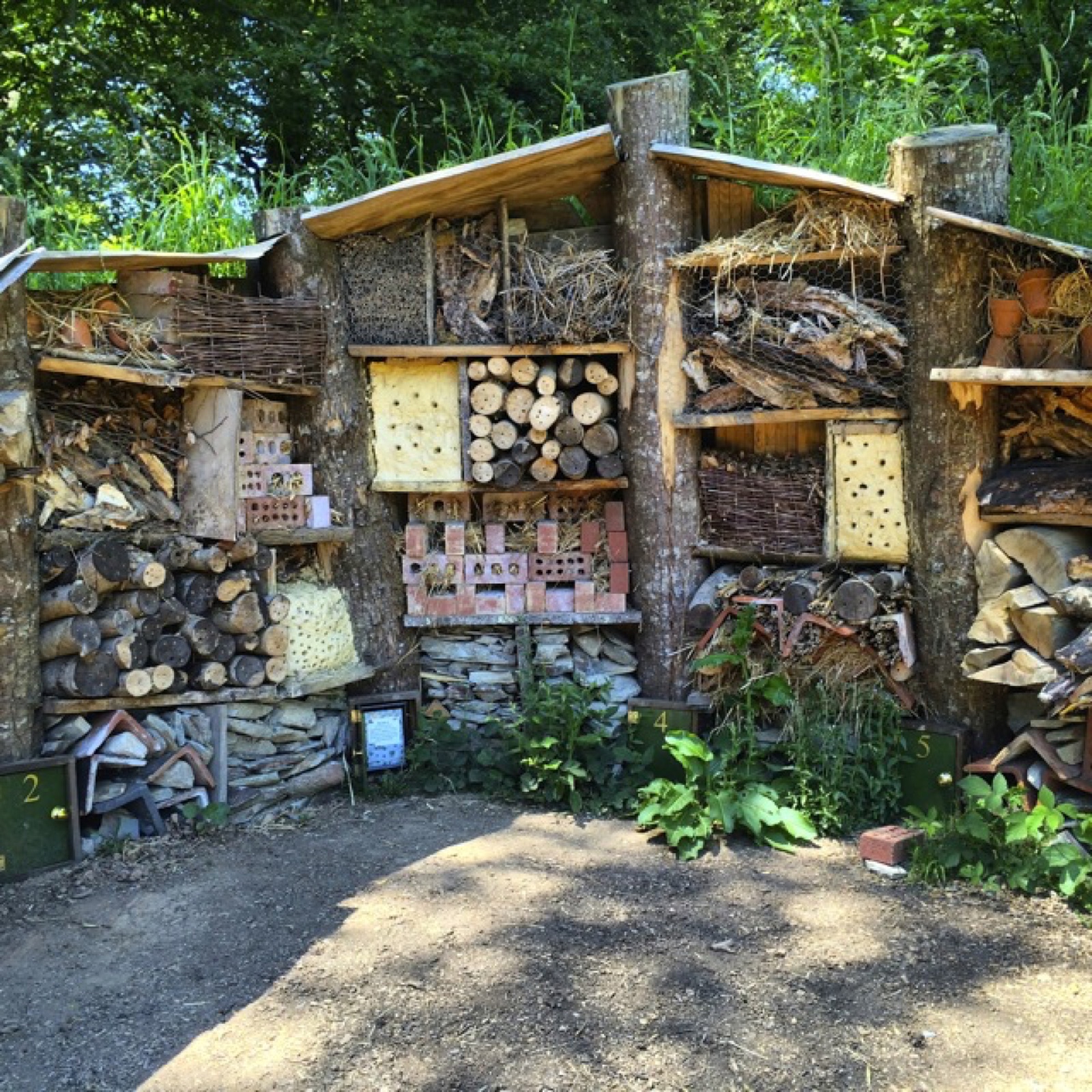 insect hotel