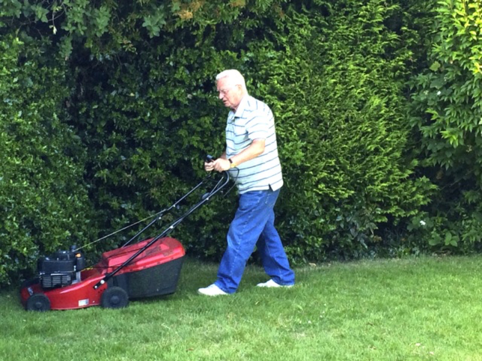 lawn mower