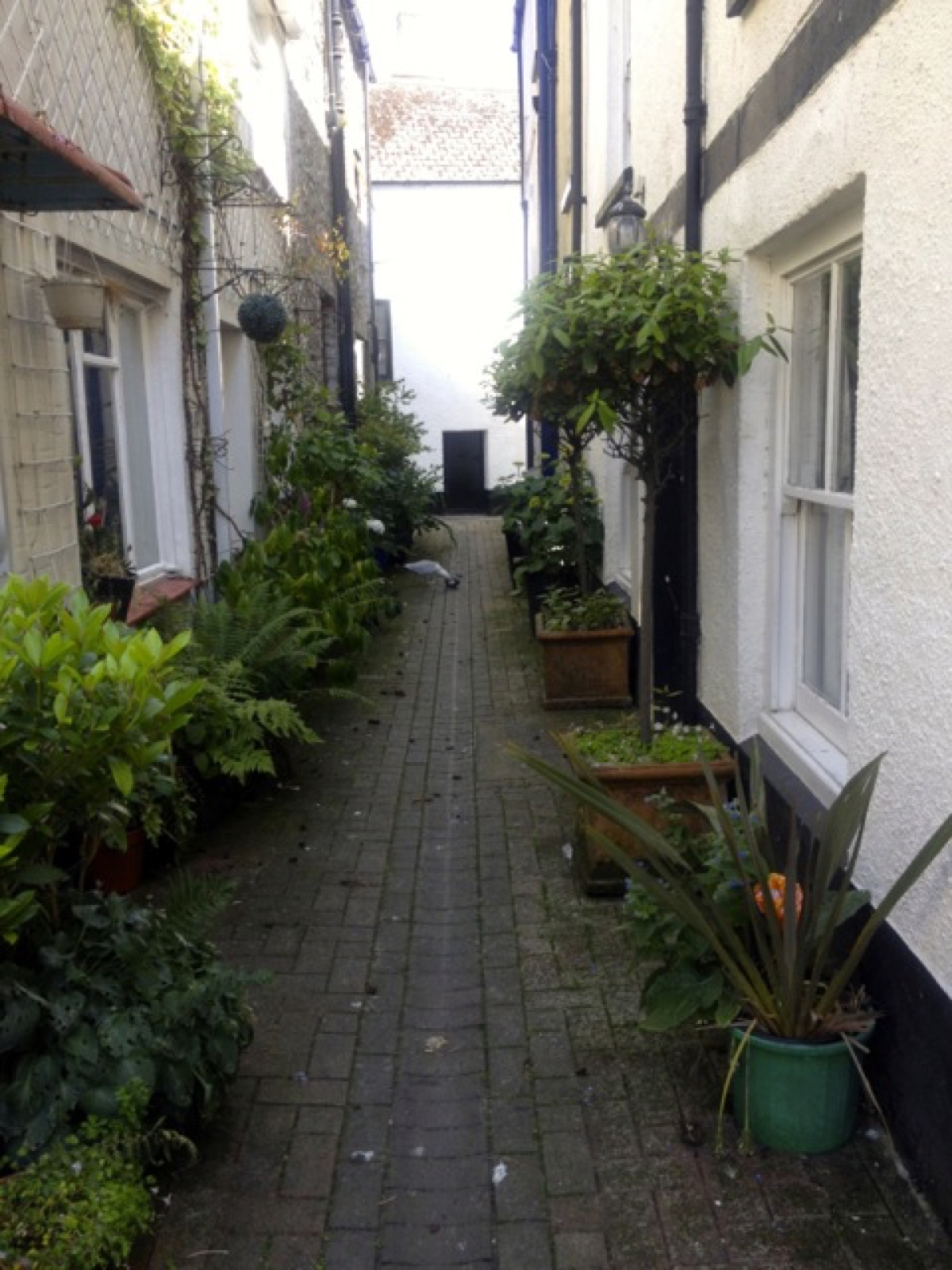 looe alley