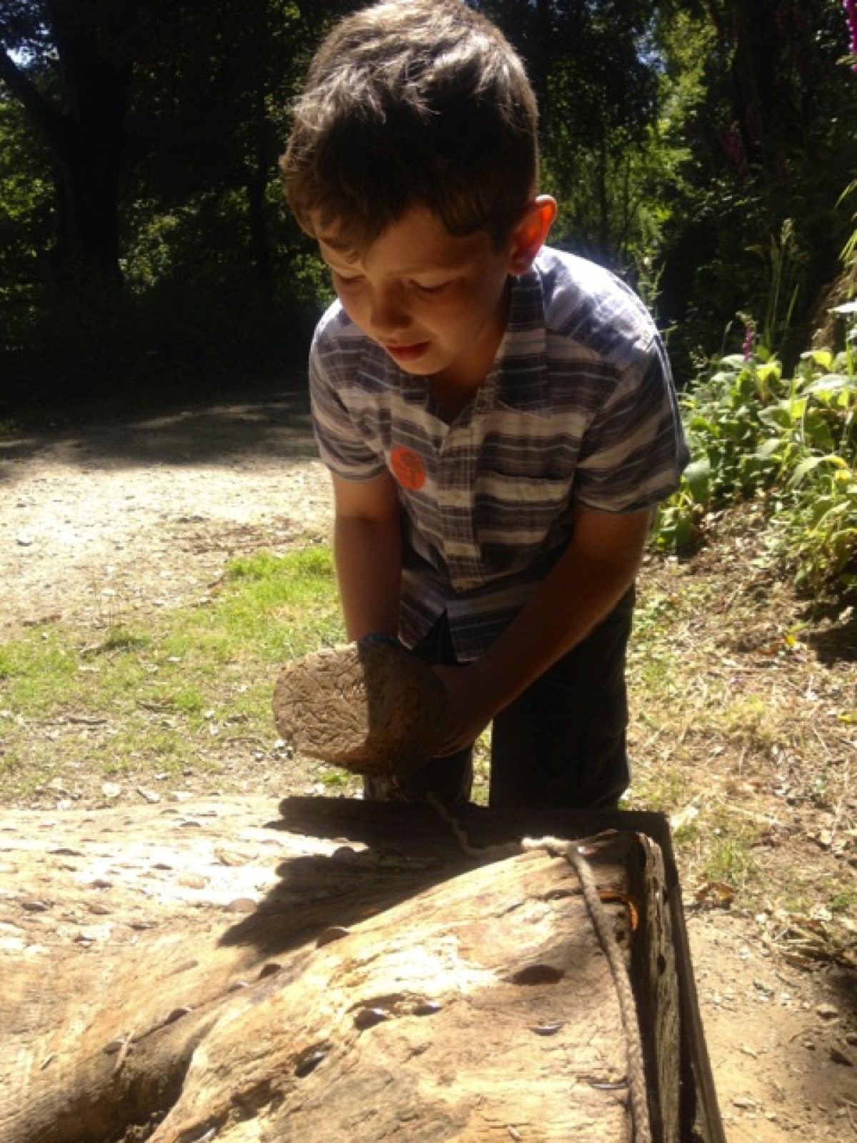 penny stump