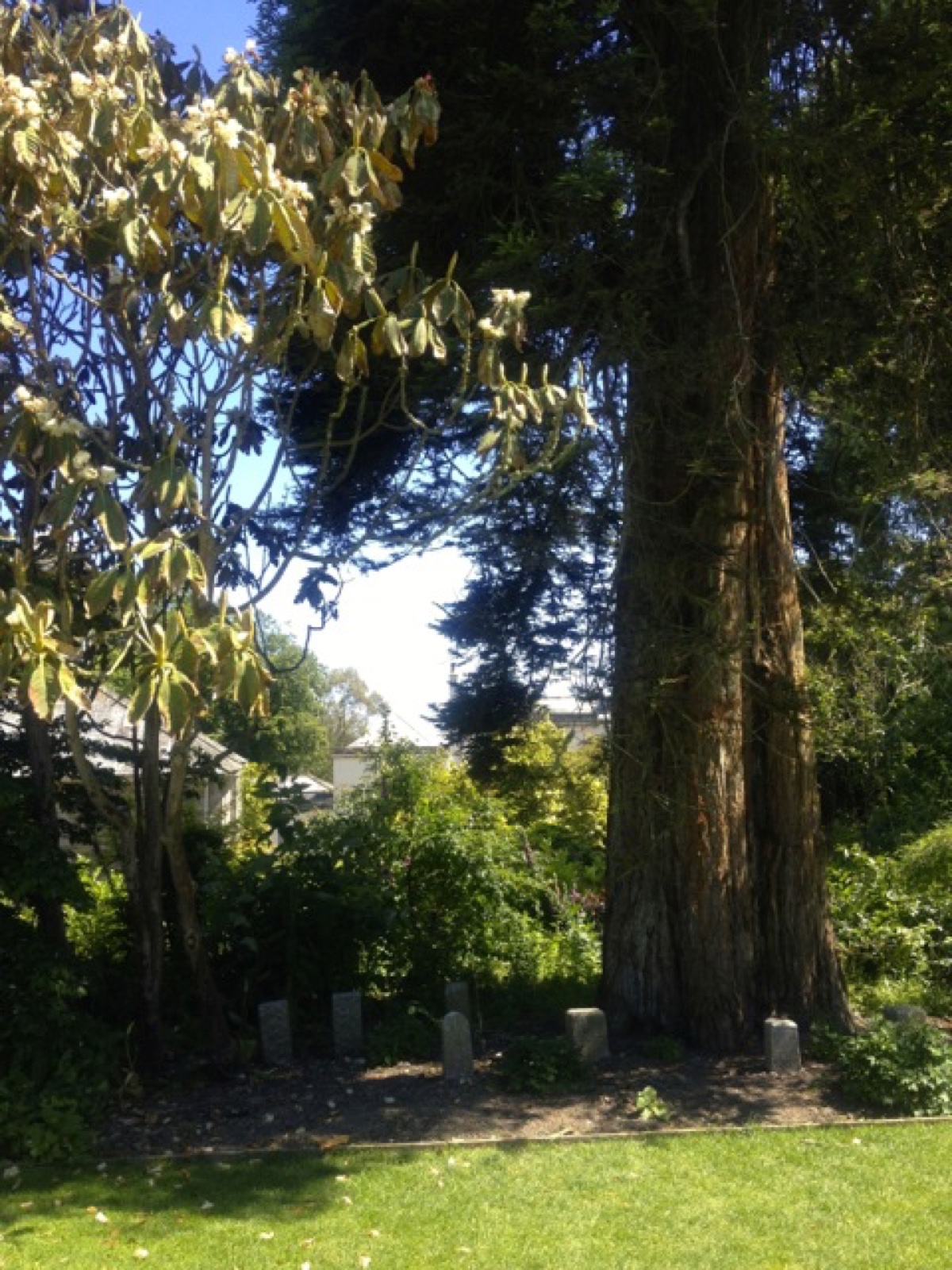 pet cemetry