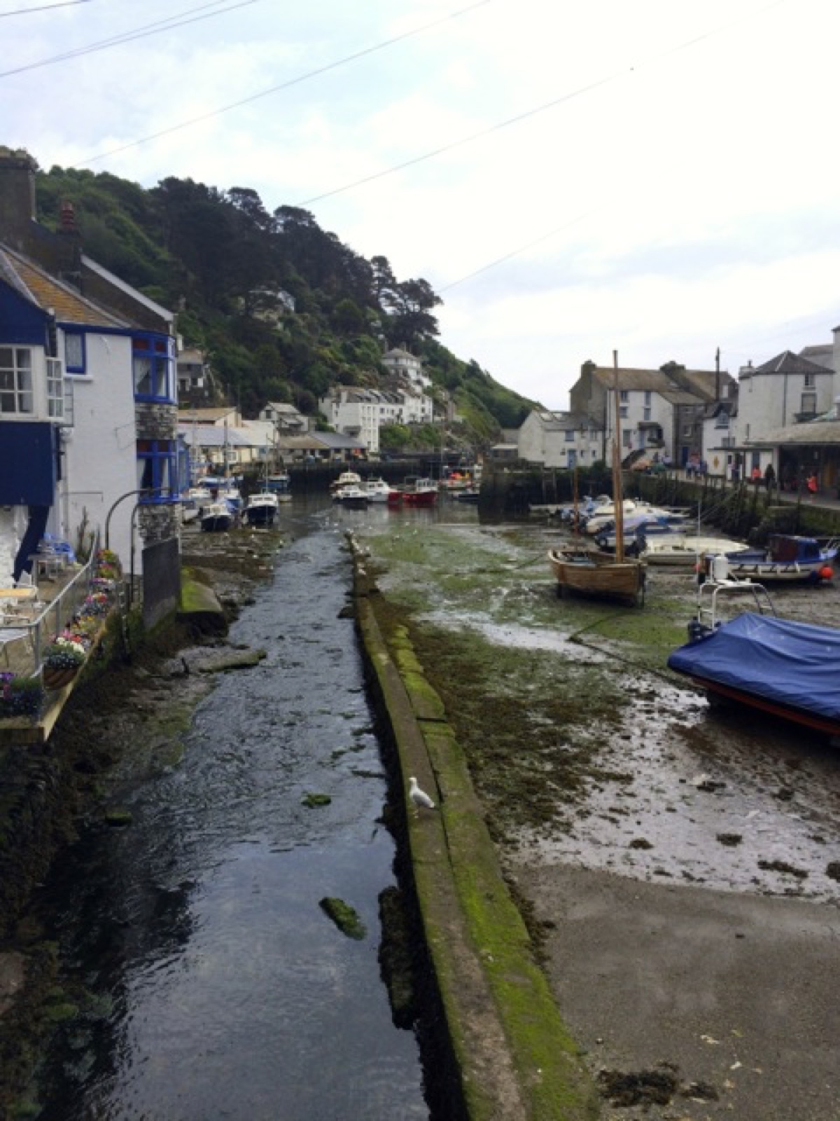 polperro harbor with baskets
