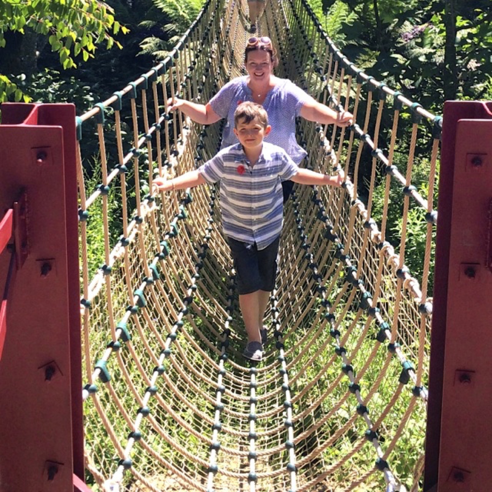 rope bridge across the jungle