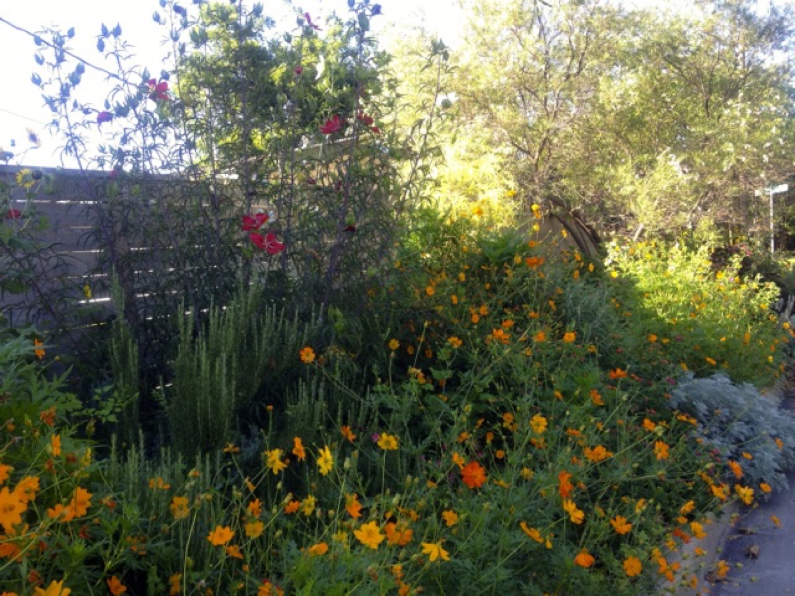 side garden return