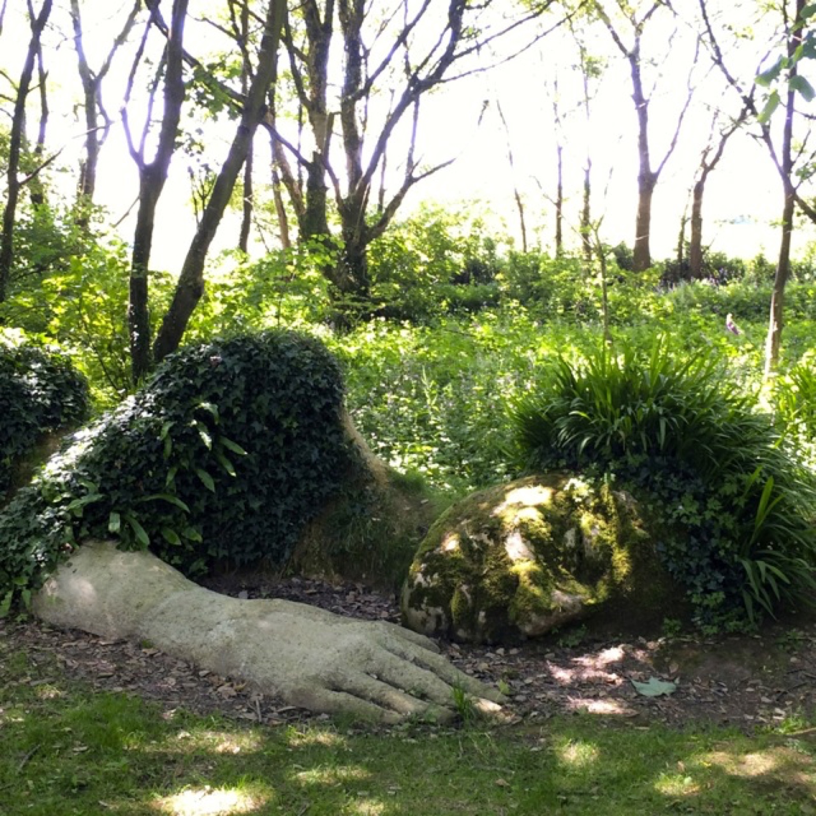 sleeping lady II