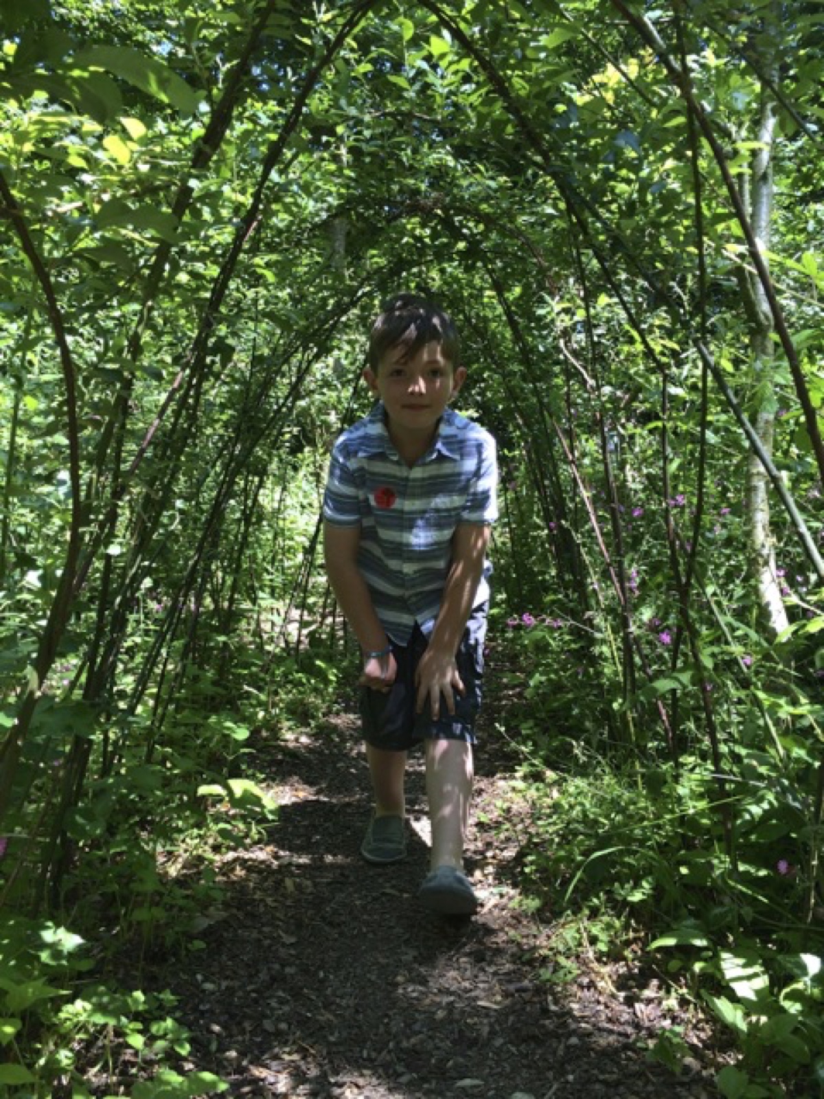 tom tree tunnel