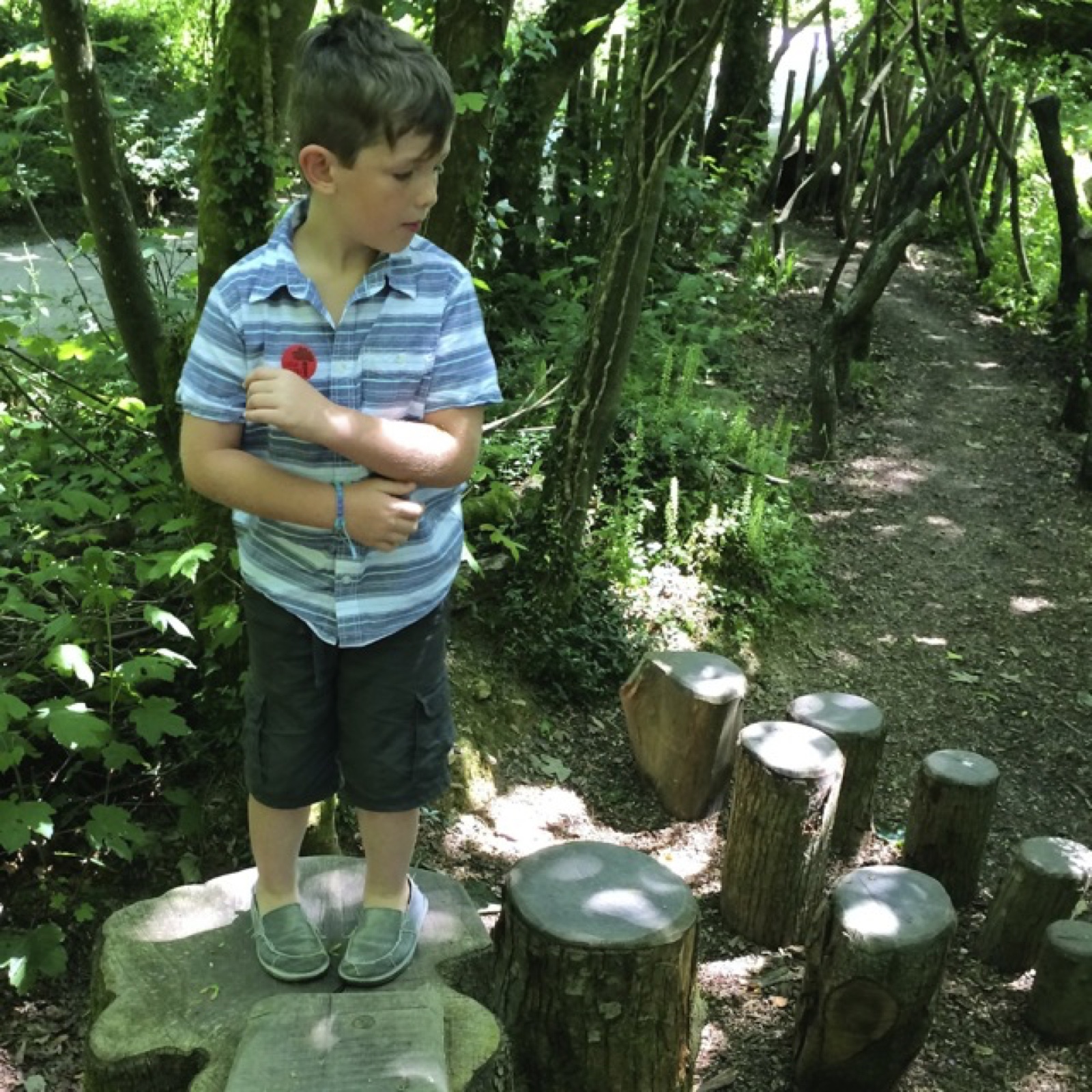 tree stump playground