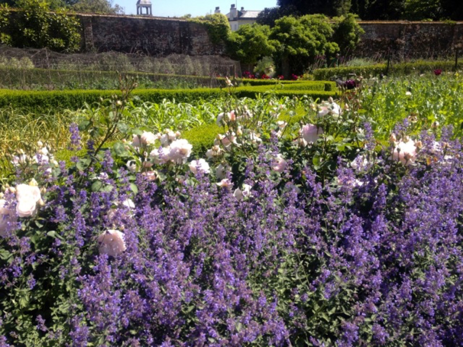 walled garden