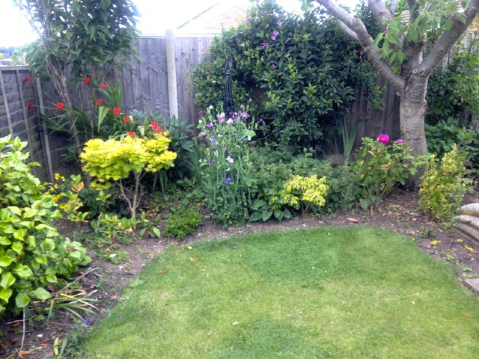 wide shot