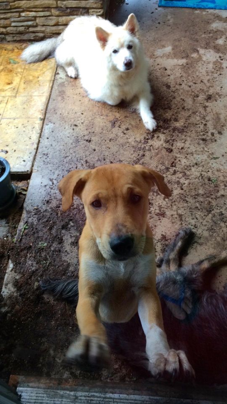 Naughty muddy Delilah