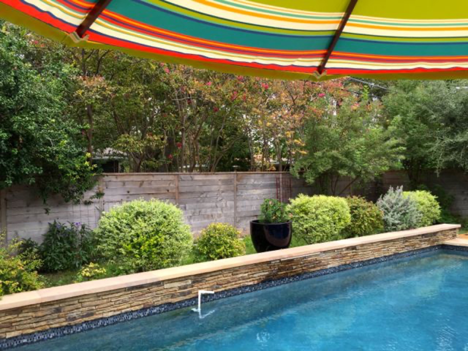 pool bush trimmed