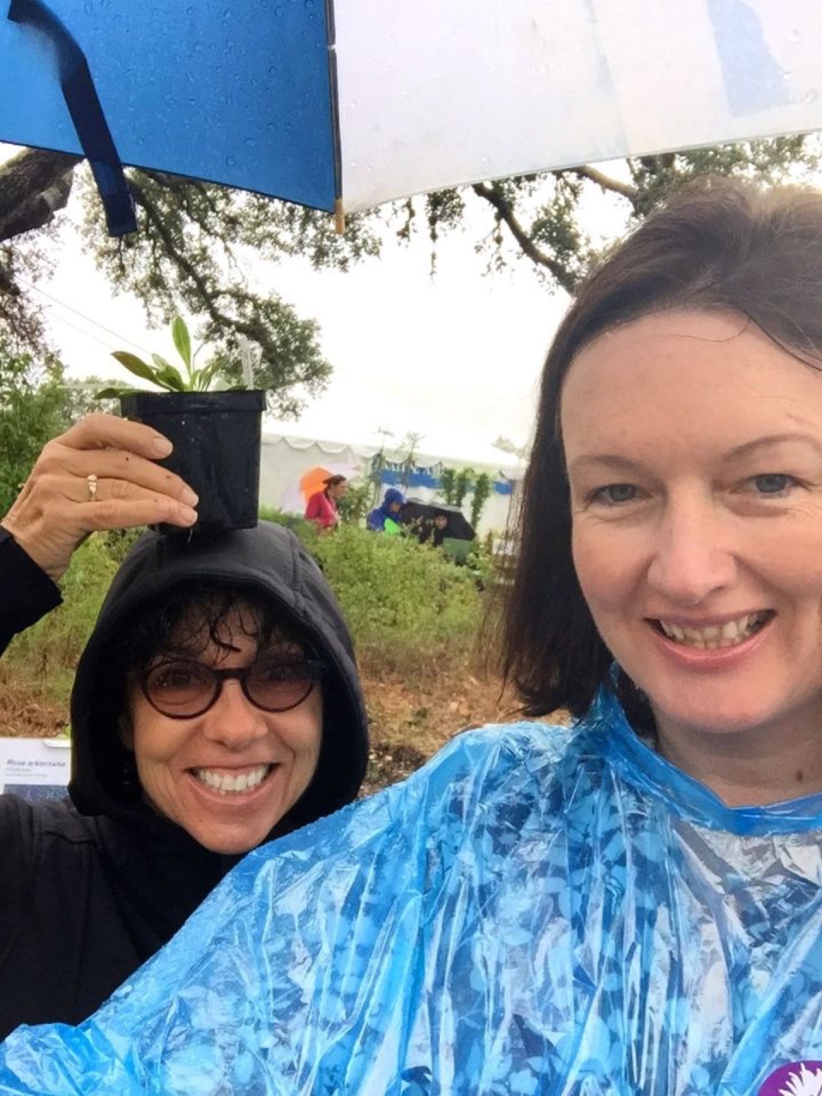 Sally and Sandy Wildflower plant sale