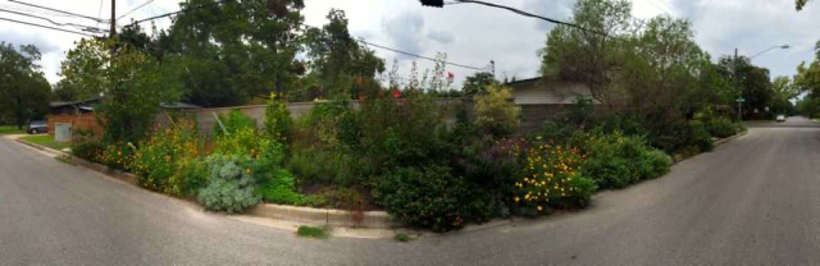 side panoramic