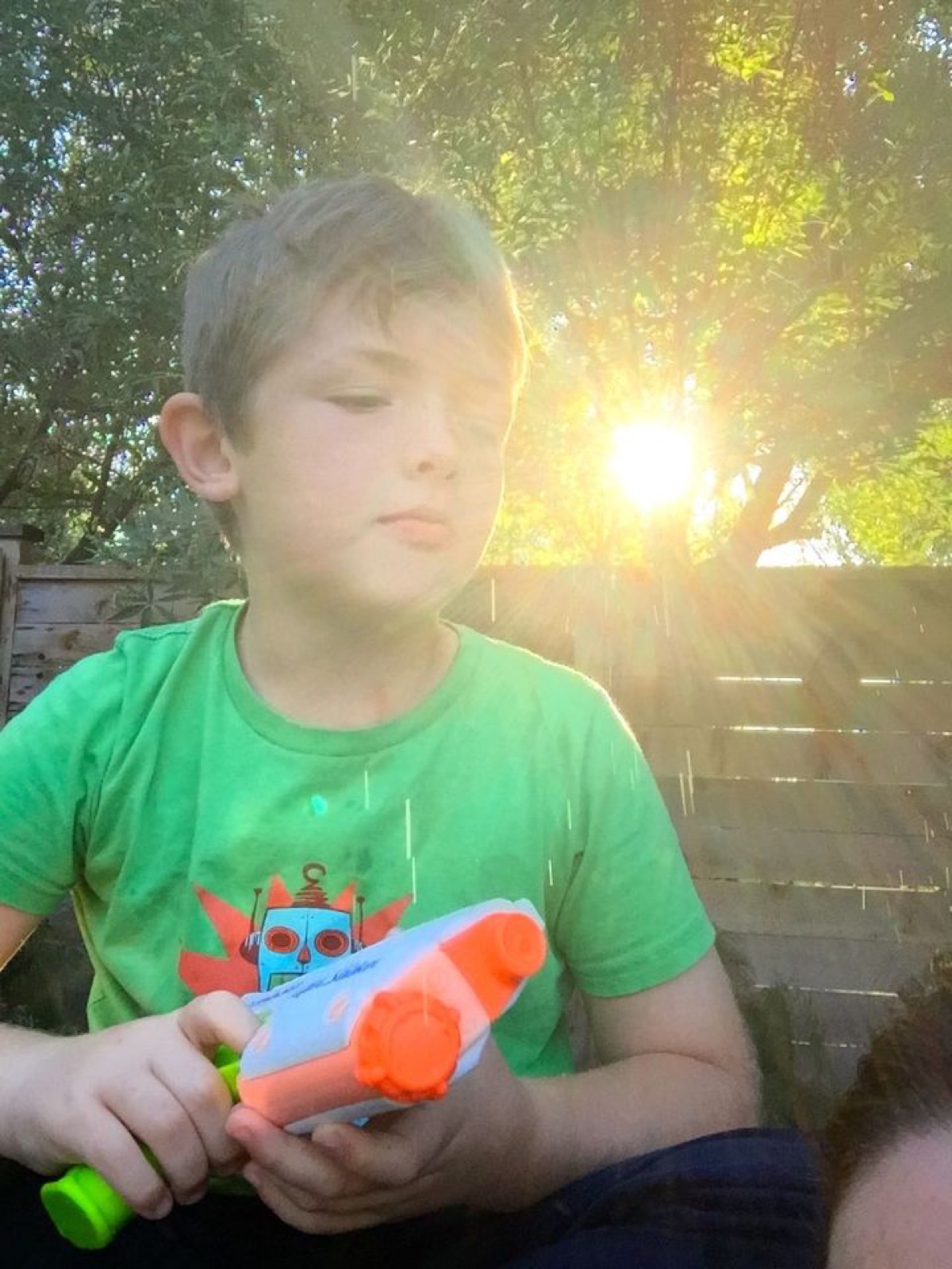 Tom sunlight filter