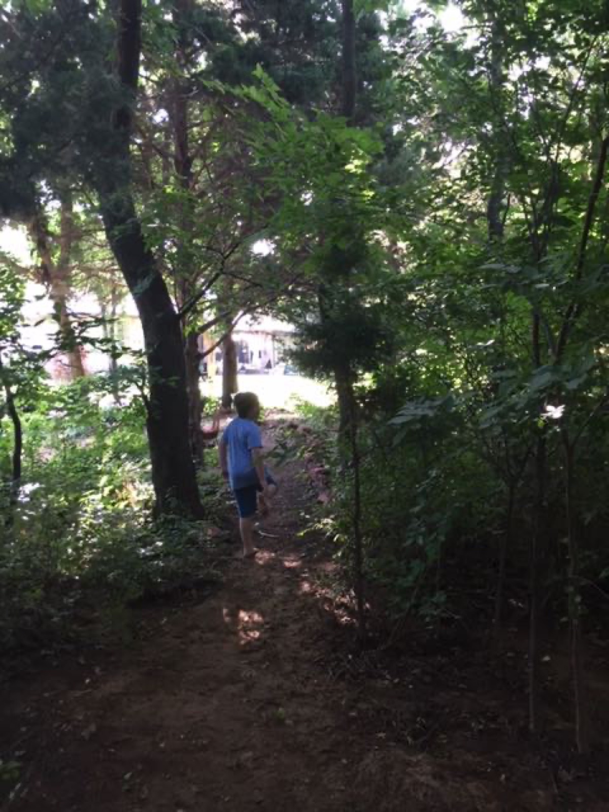 adventure trails