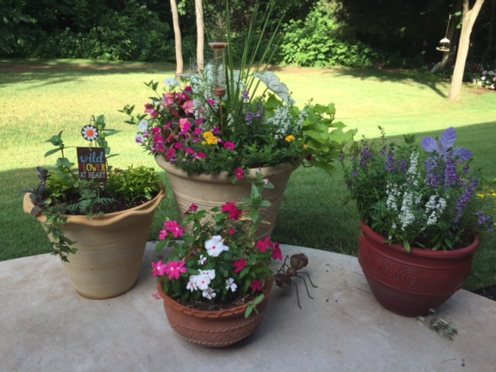 Color pots