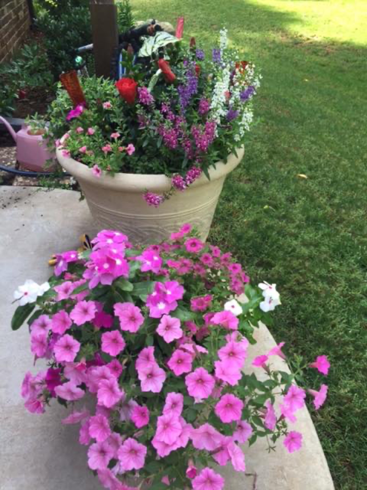 pink pots
