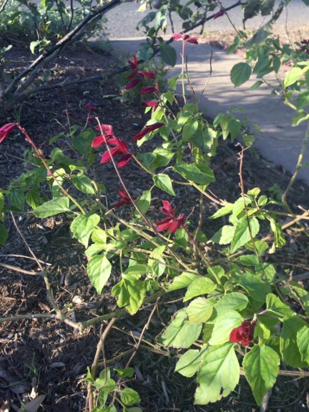 thumb_IMG_3445_1024