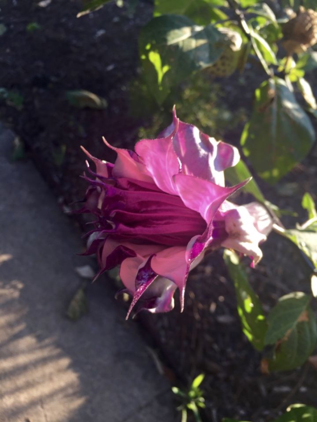 thumb_IMG_3450_1024