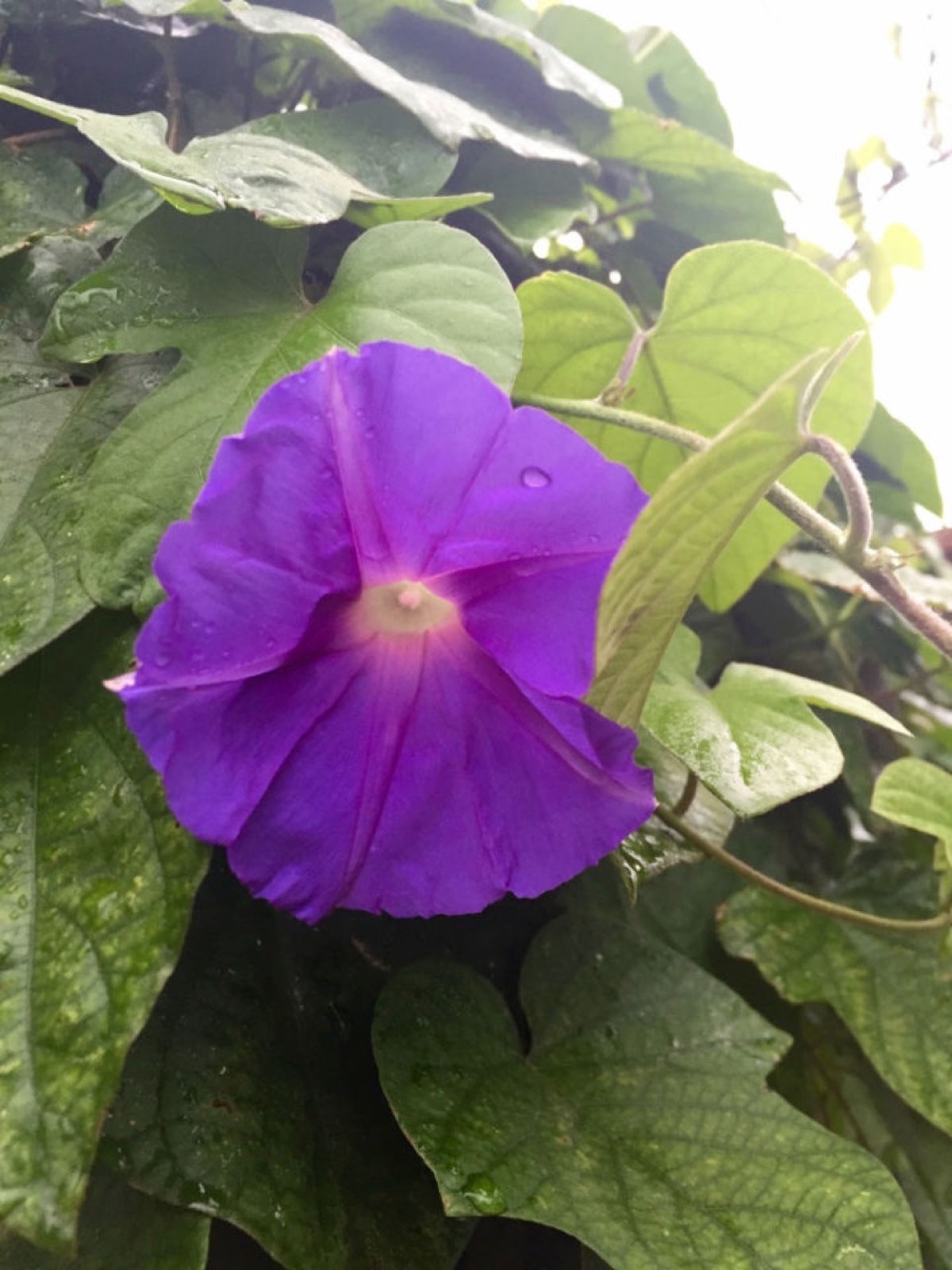 thumb_IMG_3702_1024